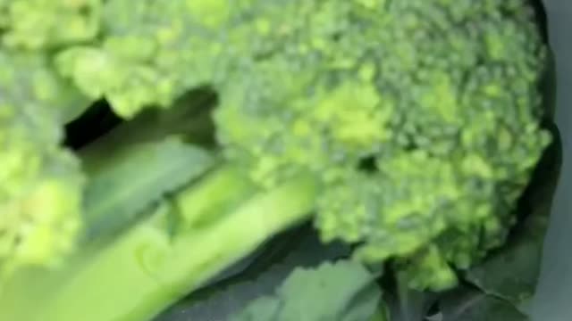 Broccoli under microscope