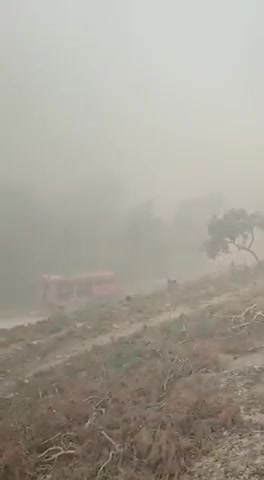 Τεράστια η καταστροφή στο δάσος της Δαδιας