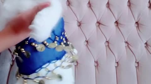 قطه جميله ترقص ع اغنيه ناعمه وطريه