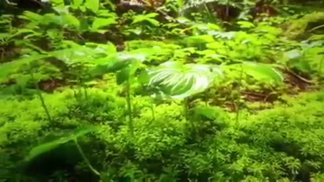 Time with God - May 8