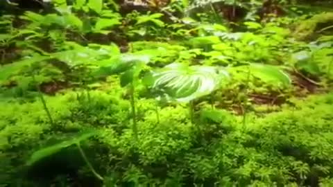 Time with God - May 8