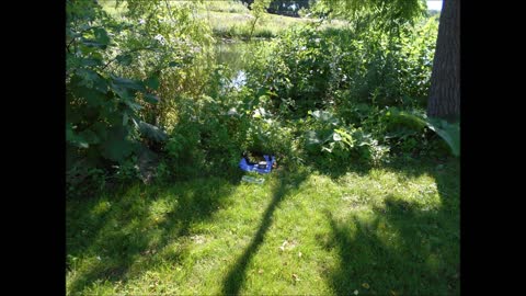 Burdock and The Reconnection Isle on Lyman Lake Minnesota