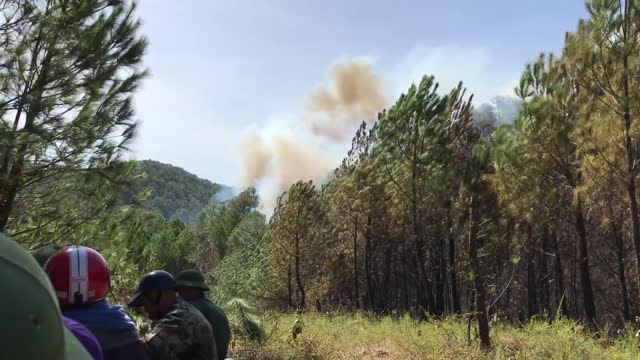 forest fire in Vietnam