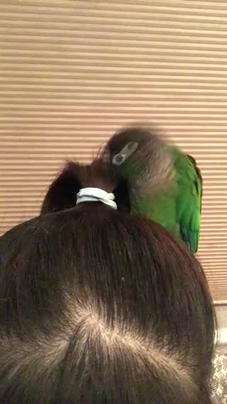 Machi Plays With My Hair