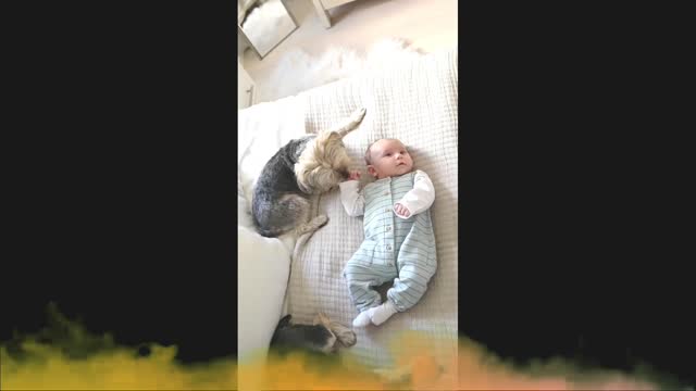 Cute Baby Playing With Pet Cat