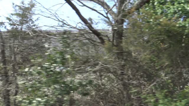 Passing A CSX Train While Driving Towards Stanley 3-5-22