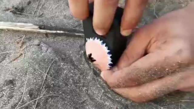 Are you impressed by any of these photos