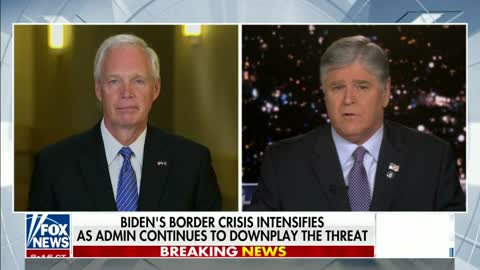 Senator Johnson on Hannity 6.17