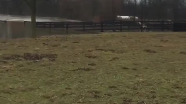 Ranch Owners Rescue Horses from Flooded Grounds