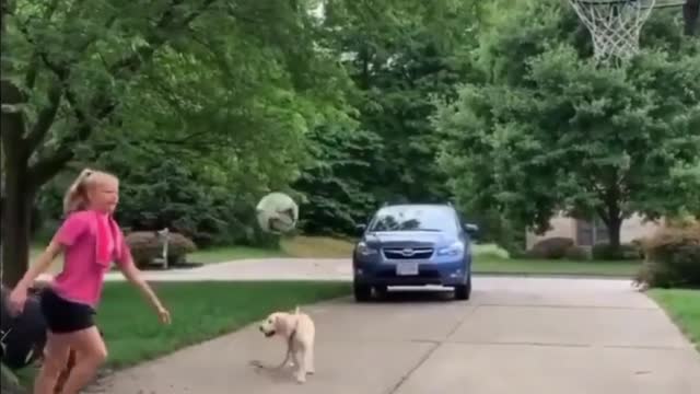 Funny short videos compilation part 7
