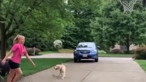 Funny short videos compilation part 7