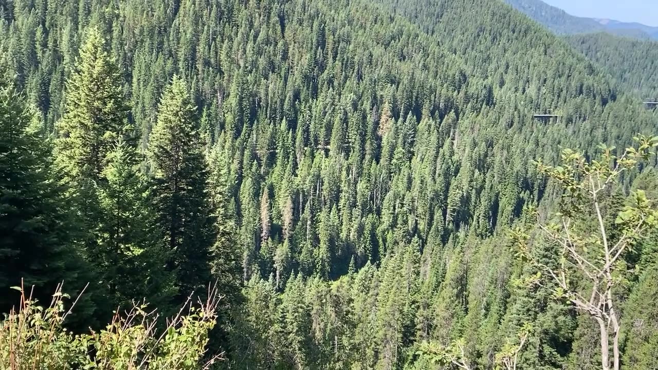 Hiawatha Bike Trail