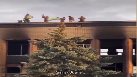 Raisins - Ukraine!