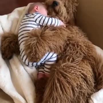 Sleeping hugged!! ❤️