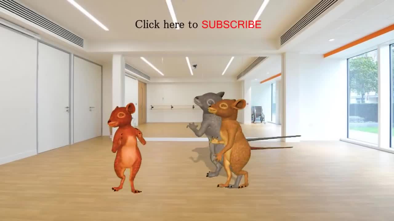 Funny rat dance 2022