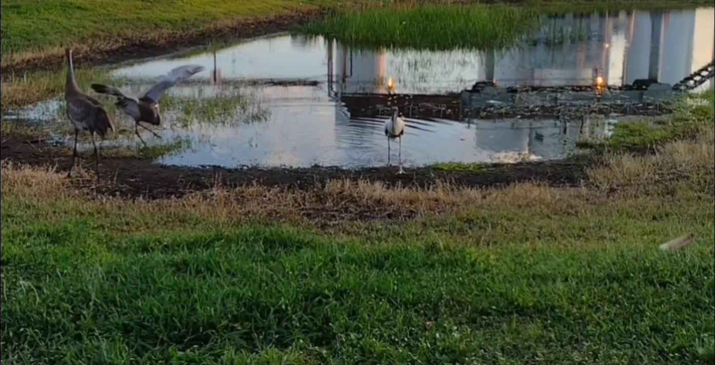 The nature zone: Can we just get along?