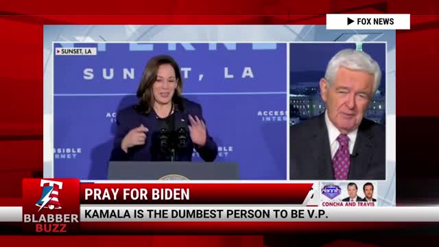 Kamala Is The Dumbest Person To Be V.P.