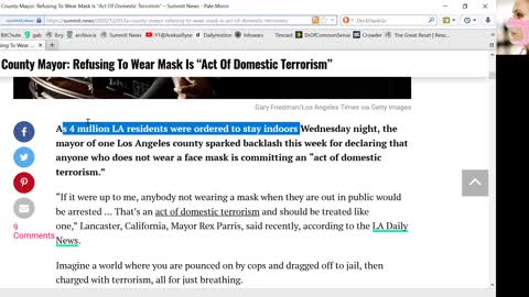 not wearing mask makes you a domestic terrorist