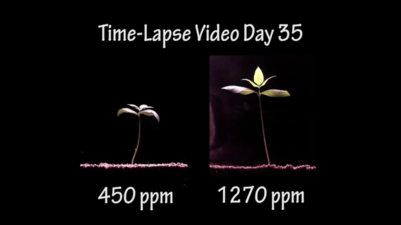 Mais Co2 é BOM para a Terra.