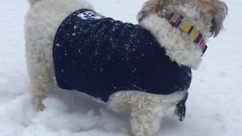 First snow for Maggie