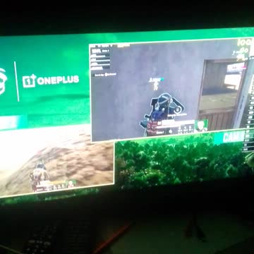 free fire desafio quem leva torta ao vivo