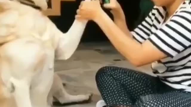 I can't stop laughing 😂 soo cute