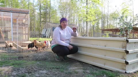 How to Build a Raised Bed