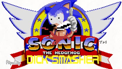 SONIC THE HEDGEHOG D SMASHER