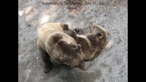 Tageslosung für Montag, den 11. Juli