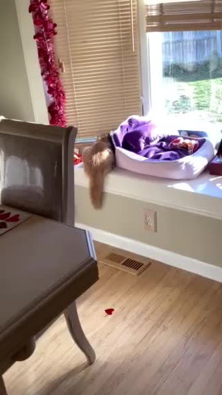 Carson H. Looking at Birds !