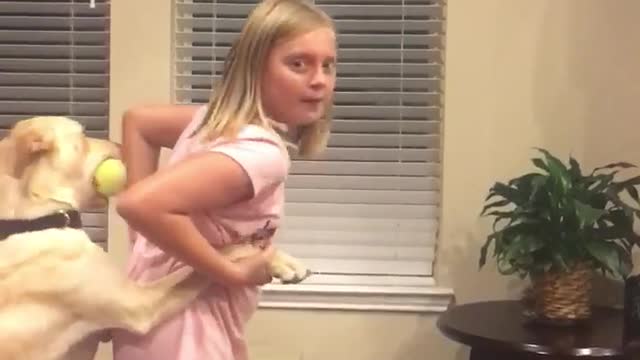 Hilarious playtime between little girl and doggy caught on camera