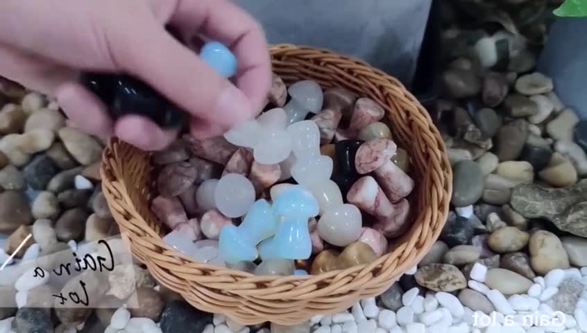 MUSHROOMSHEAVEN