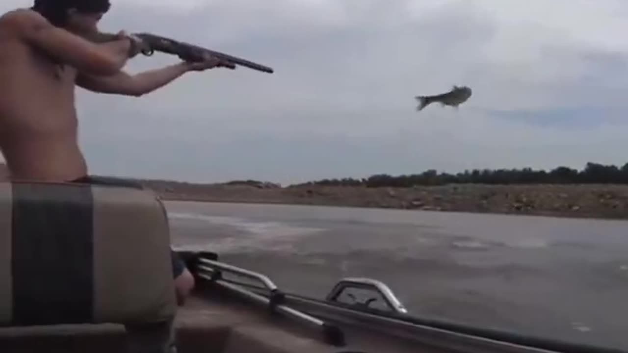 Shotgun For The Fish