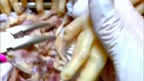 All Meat, No Bones! #FoodieVibes #DeliciousBites #shorts