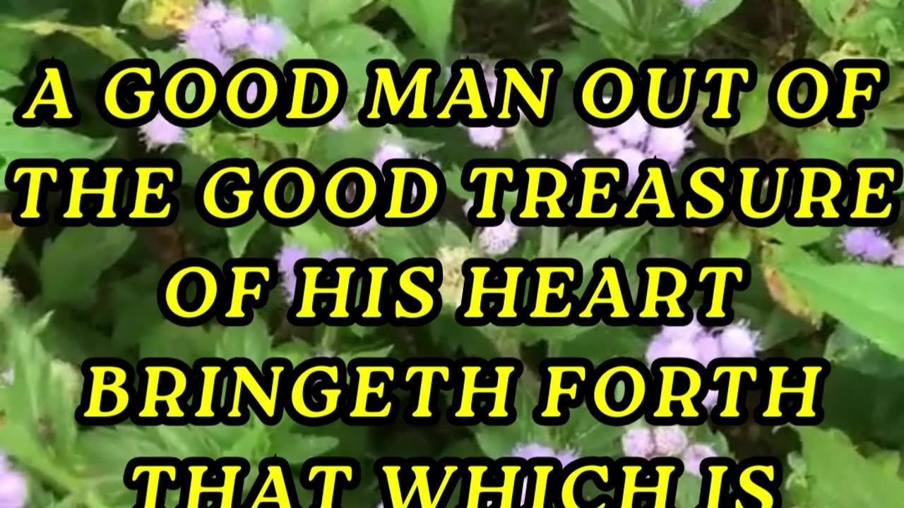 A good man out of the good treasure of his heart bringeth forth that which is good