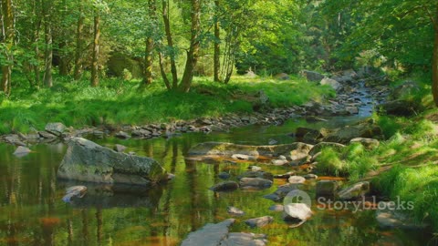 Survival Series: A Guide to Finding Clean Water