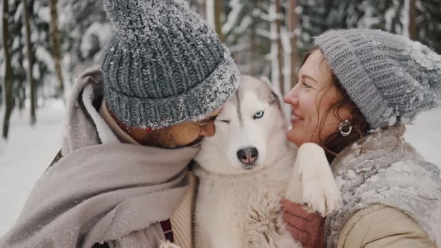 Dog getting lots of kisses