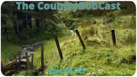 The CountryBobCast - 029 - Vechten, Vluchten, Verstarren of Vooruit Kijken