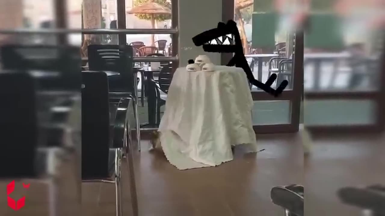 Funny animal