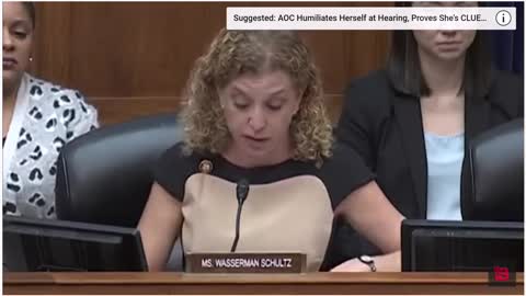 Debbie Wasserman Schultz Lies