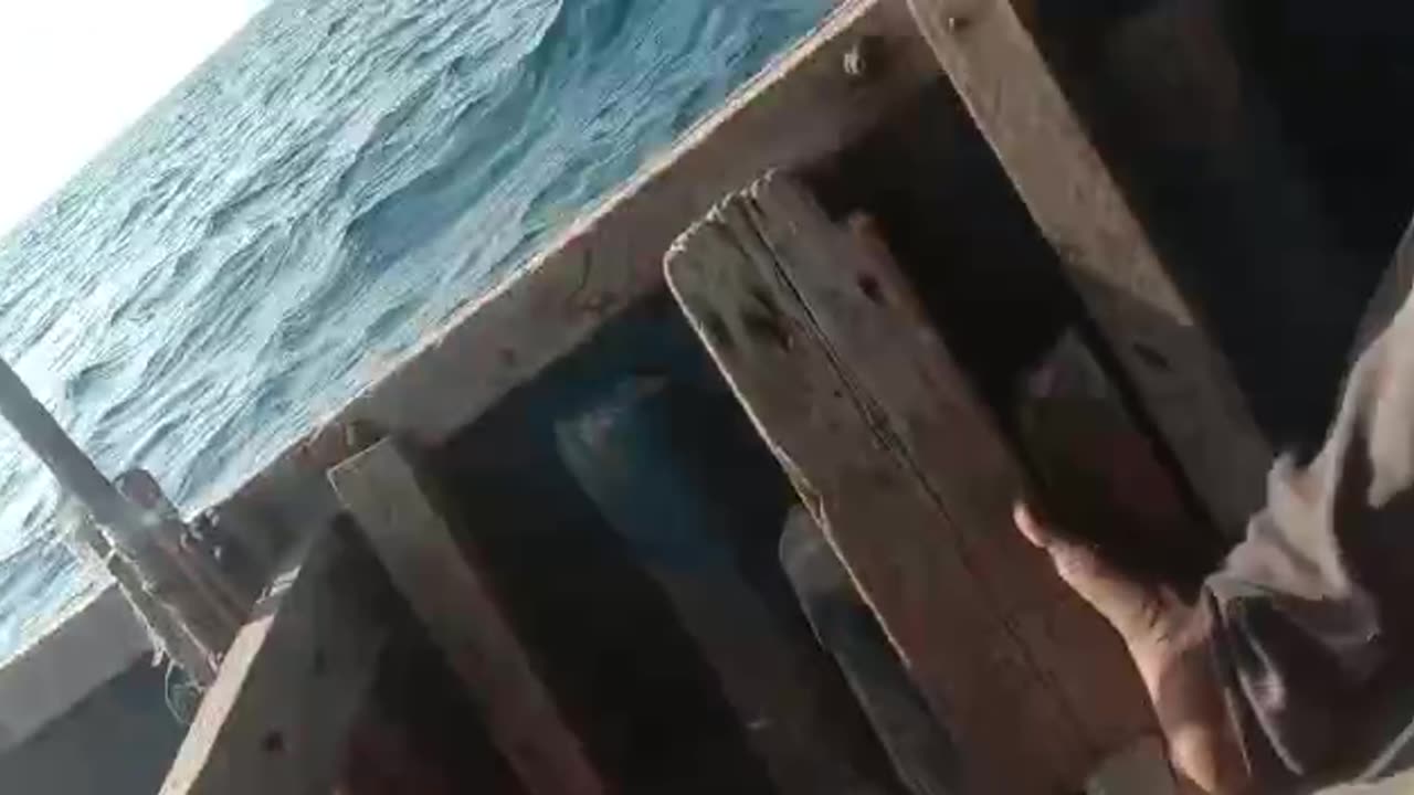 fishing at Sea