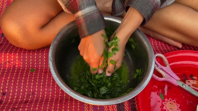 Wonder farm woman Day 36 Sweet noodles making homemade Cendol and colouring it with flowers