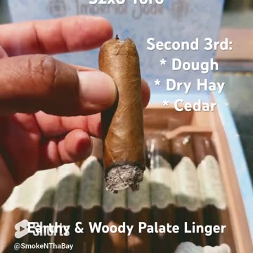 La Galera Imperial Jade 52x6 Toro #Short #Cigars #Shorts #Cigar #CigarOfTheDay #CigarReview #SNTB