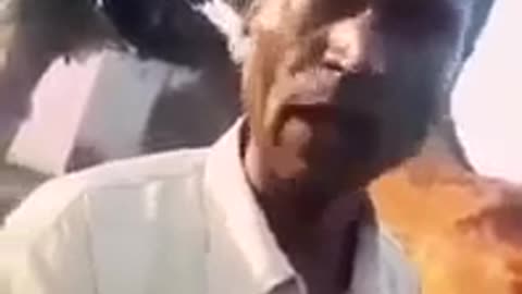 Lauda ka sarkaar