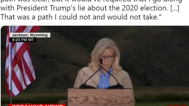 Bitter Liz Cheney Trashes Trump After Getting Crushed by Harriet Hageman. after being crushed by 30% in reelection