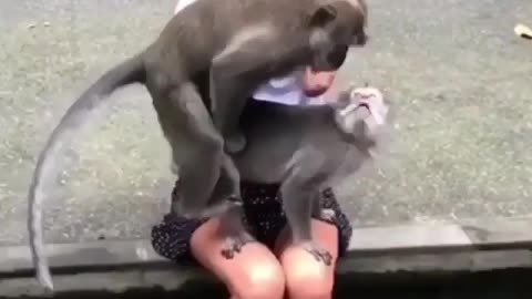 😱😂Monkey F*ck