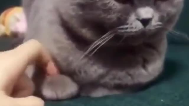 Cool!!! My friend!!!