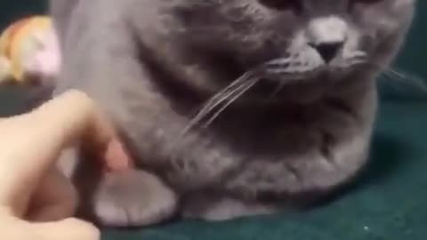 Cool!!! My friend!!!