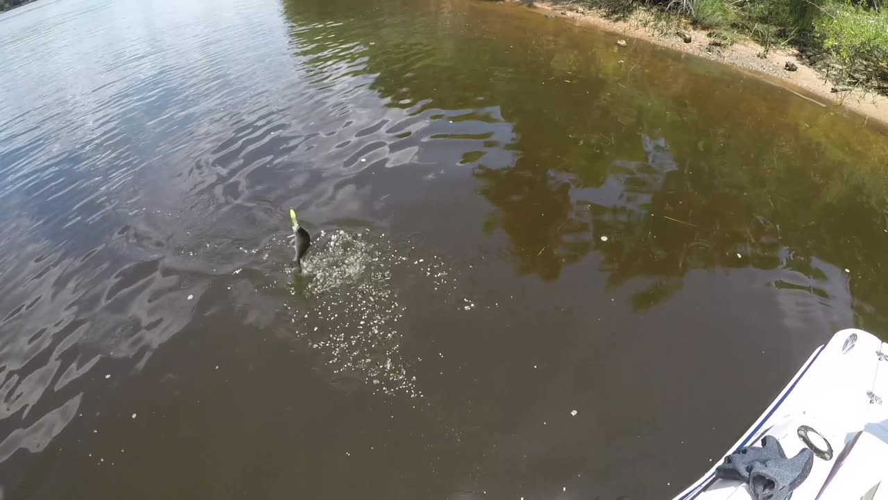 Blasian Babies DaDa Goes On A Catch And Release Fishing Trip To Exchange Island Jacksonville, FL