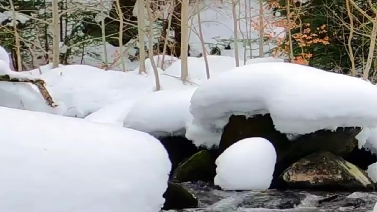 Natural Snow and River Nature video for everyone